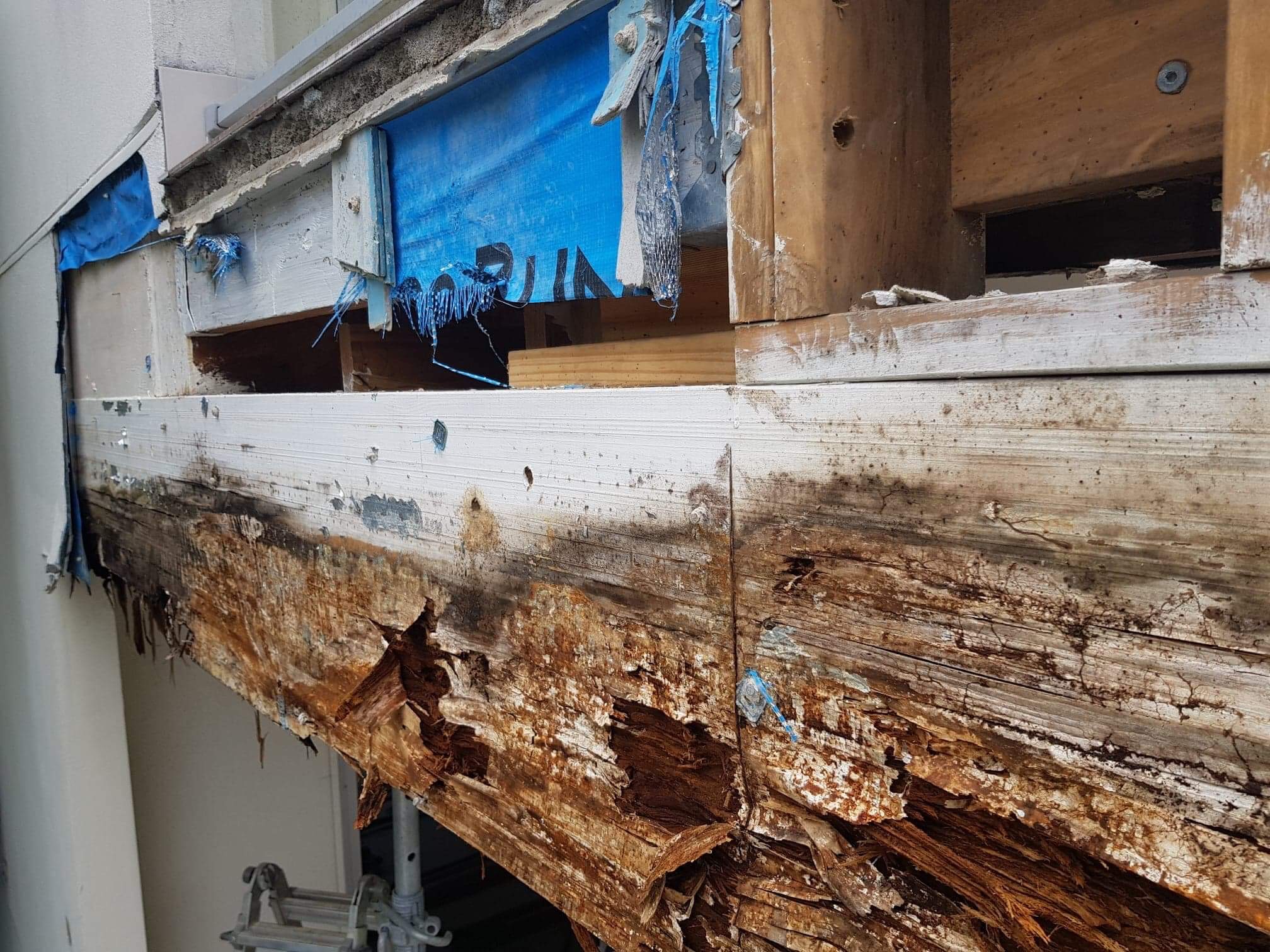 (Almost) Everything You Need To Know About Building Water Leaks